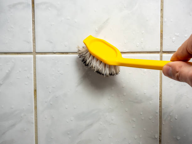 Best Fast Mold Removal  in Providence, UT