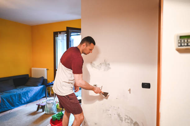 Best Office Mold Removal Services  in Providence, UT