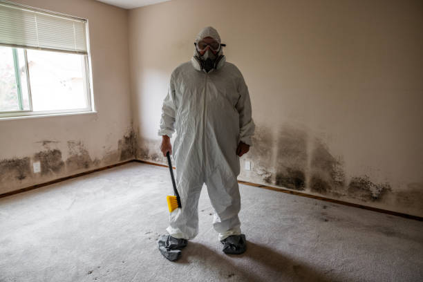 Best Crawl Space Mold Removal  in Providence, UT